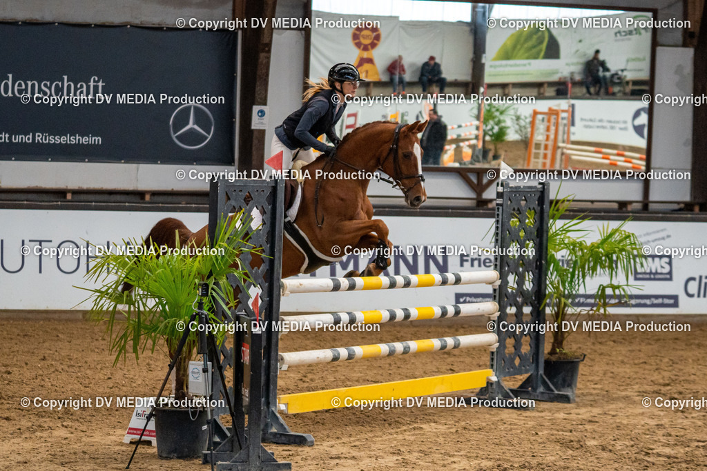 Kranichstein Tag 2-251 | dv-media-shop - Realisiert mit Pictrs.com