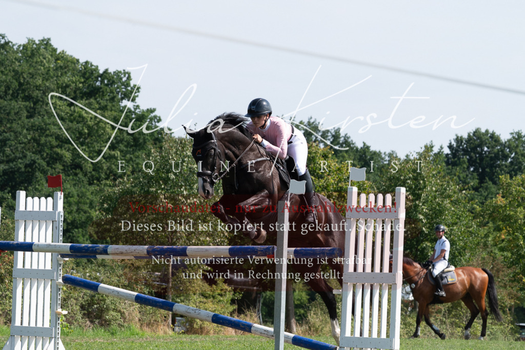 DSC_0862 | Pferde- und Turnierfotografie in Westsachsen. Pferdeportraits, Auftragszeichnungen und intuitive Kunst.