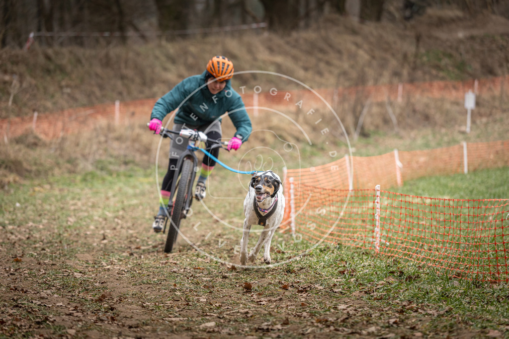 Pfotenfotografie_DV3A5080 | Hundefotografie, Tierfotograf, Pfotenfotografie, Fotoshooting Hund, Hunde Portrait, Hundesport, Hundeportraits, Heideshooting, Hunde, Sportfotograf, Hundefotograf, Turnierhundsport, THS,  - Realisiert mit Pictrs.com