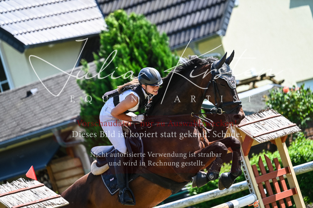 DSC_1076 | Pferde- und Turnierfotografie in Westsachsen. Pferdeportraits, Auftragszeichnungen und intuitive Kunst.