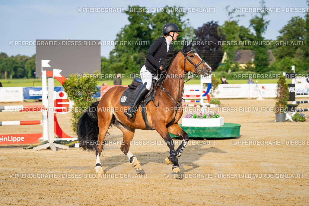 DSC02067 | Pferdegrafie