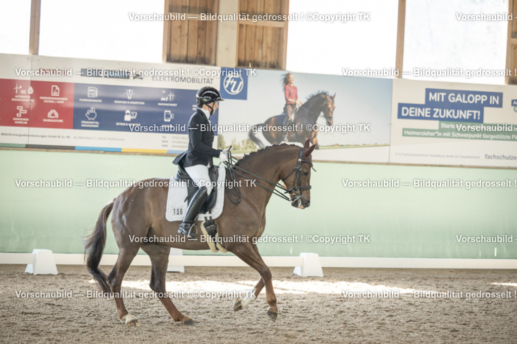 _D5A1214 | Emotionale Pferde- & People-Fotografie rund um Heidelberg, Leimen & Umgebung. Natürliche Fotos von Pferd, Mensch & Familie. Jetzt Termin sichern!