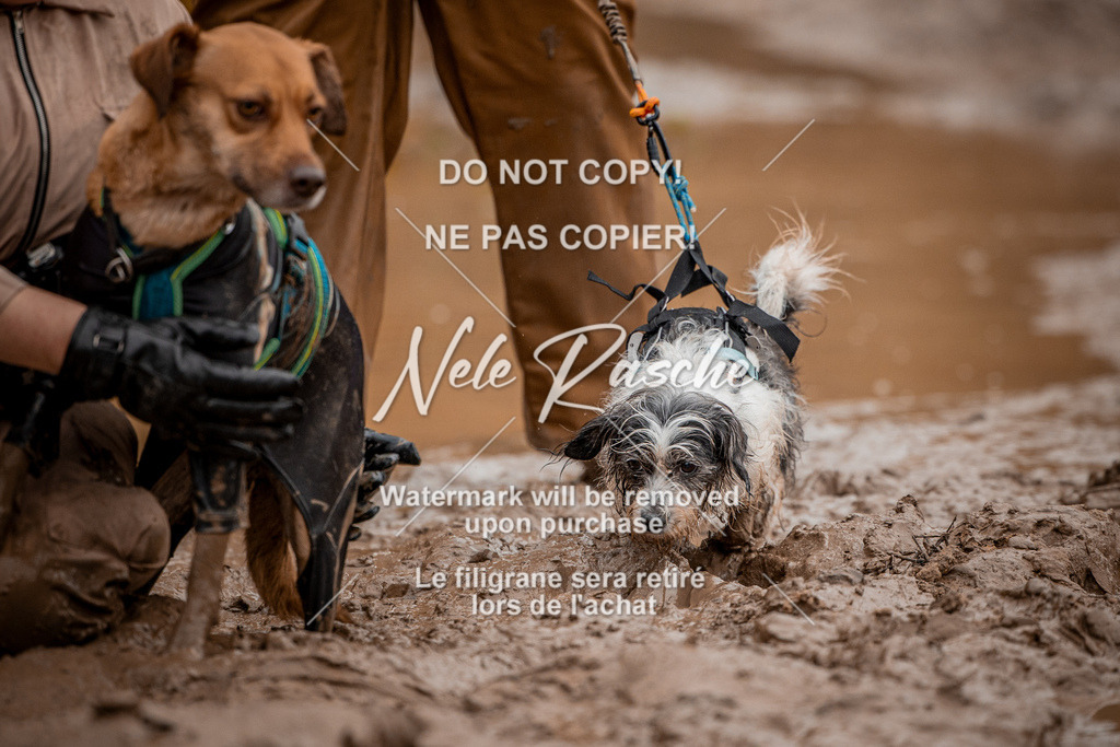 nelerasche_Creepy2025_Sa11-12_23 | nelerasche