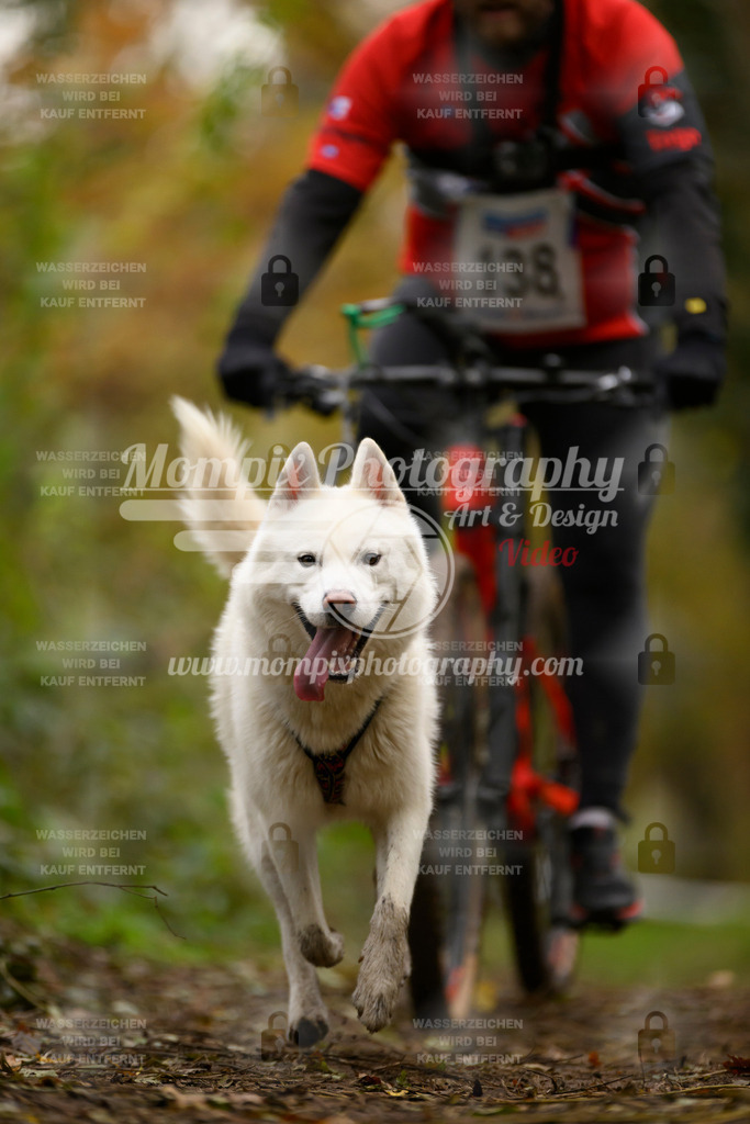 MompixPhotography_Bischwiller24_SA_VTT-88 | PayLife