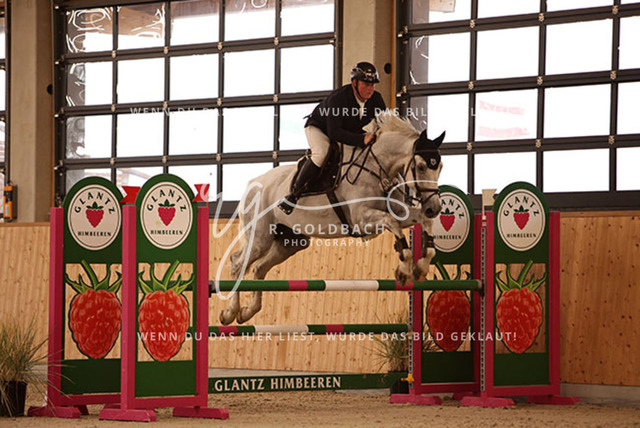 1J2A3386Christoph Maack_ Cello Blue_ Kn104_ Hohen Wieschendorf_ Glantz | Foto- und Videografie für alles rund ums Pferd. Hochwertige Bilder und Videos vom Spring- und Dressurreiten, Voltigieren & mehr. Jetzt aktuelle Veranstaltungen und Preise im Shop ansehen. - Realisiert mit Pictrs.com