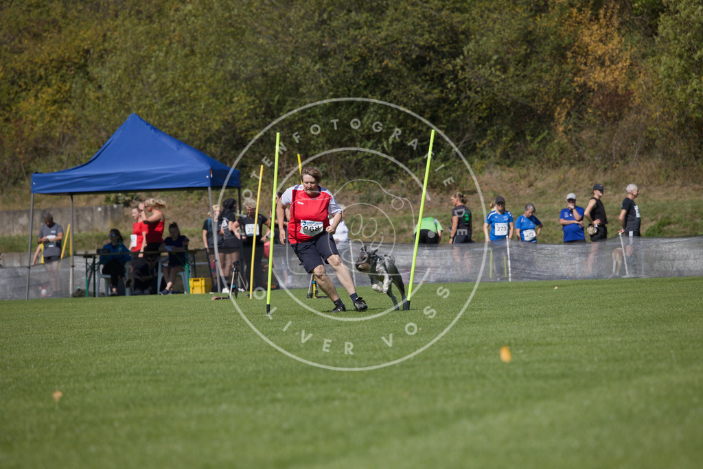 0L8A6591 | Hundefotografie, Tierfotograf, Pfotenfotografie, Fotoshooting Hund, Hunde Portrait, Hundesport, Hundeportraits, Heideshooting, Hunde, Sportfotograf, Hundefotograf, Turnierhundsport, THS,  - Realisiert mit Pictrs.com