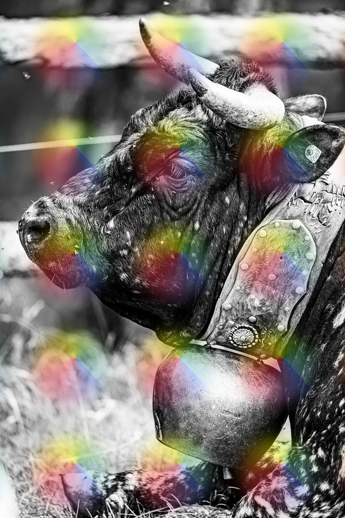 20240815-1M5A9002 | FineArtPrint, Hahnemühle, FeeGalerie, Fee Galerie, Fotokunst, Fotografie, Canonphotography, Bergfoto, Matterhorn, Rimpfischhorn, Allalinhorn, Saas-Fee, Wallis, Valais, Switzerland, Bergfotografie