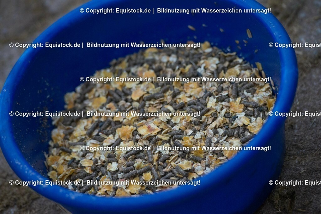 20170118_M__sli_0003 | Foto: Thomas Hartig