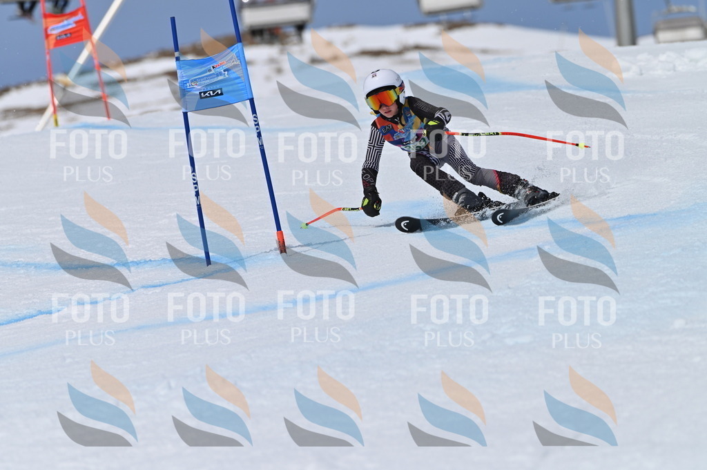 BGV_7095 | holidayphoto