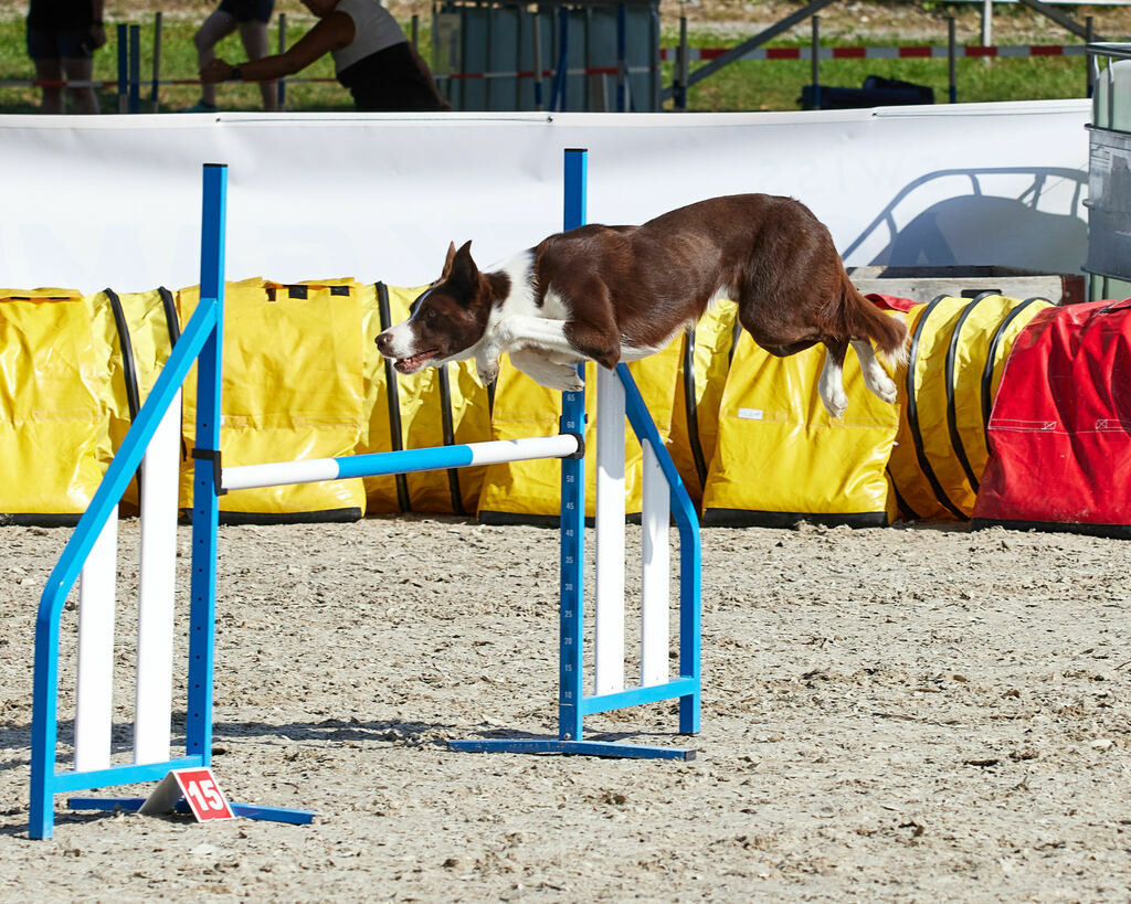 580A0095 | Peter Fridle Fotografie - Realisiert mit Pictrs.com