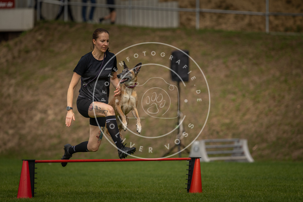 Pfotenfotografie_DV3A7486 | Hundefotografie, Tierfotograf, Pfotenfotografie, Fotoshooting Hund, Hunde Portrait, Hundesport, Hundeportraits, Heideshooting, Hunde, Sportfotograf, Hundefotograf, Turnierhundsport, THS,  - Realisiert mit Pictrs.com