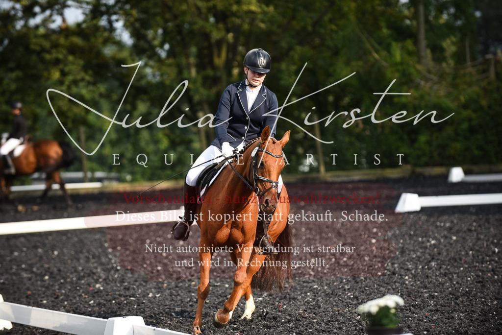 DSC_3458 | Pferde- und Turnierfotografie in Westsachsen. Pferdeportraits, Auftragszeichnungen und intuitive Kunst.