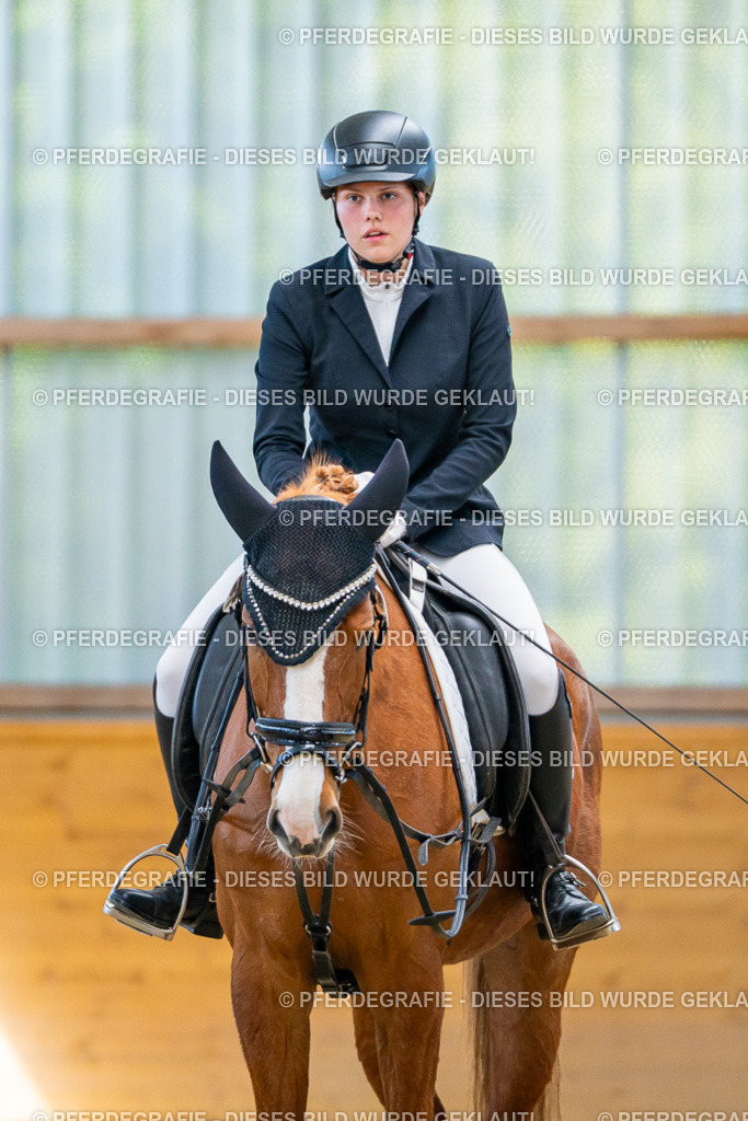 DSC08559 | Pferdegrafie