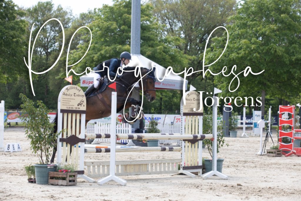 IMG_4050 | photographesa-joergens - Realisiert mit Pictrs.com