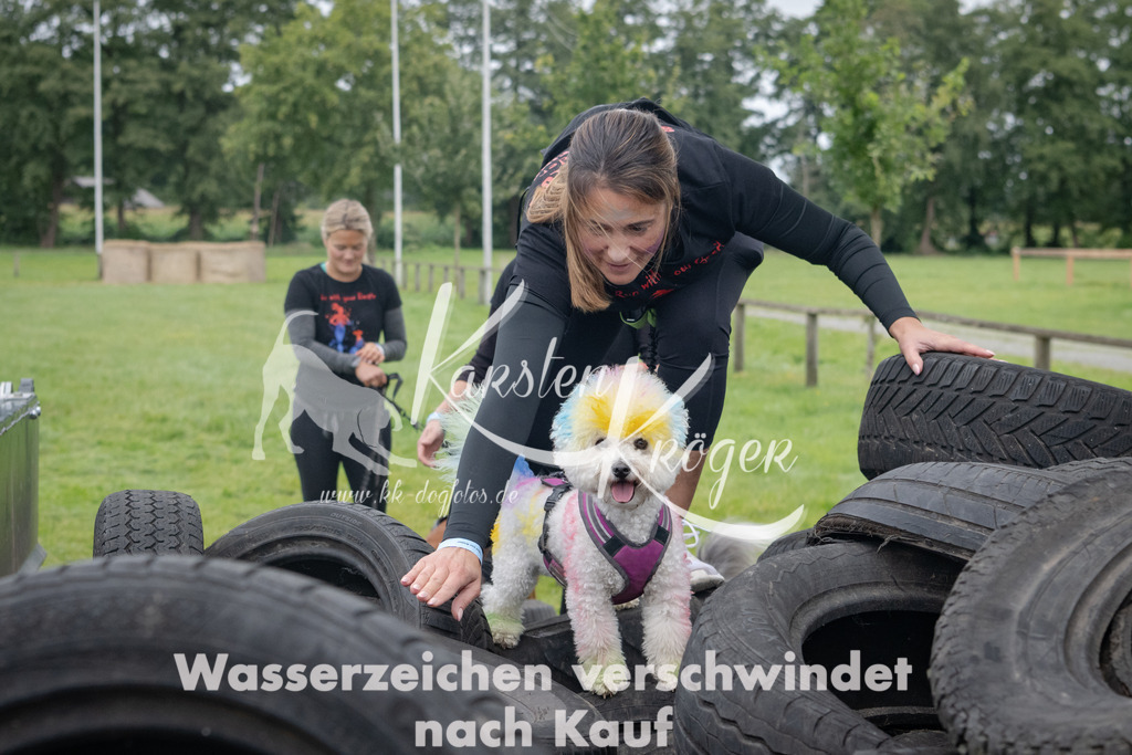 1208_ZZ94461 | kk-dogfotos