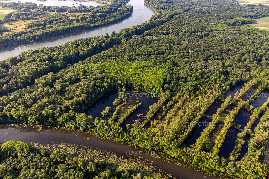 Überflutung der Rheinauen am Altrhein (Michelsbach) | Luftbild: Überflutung der Rheinauen am Altrhein (Michelsbach) in Hördt im Bundesland Rheinland-Pfalz in Deutschland. Foto: IMG_141783.jpg vom 18.06.2024 durch ©2025 Werner Riehm fly-foto.de/copyright - Realisiert mit Pictrs.com