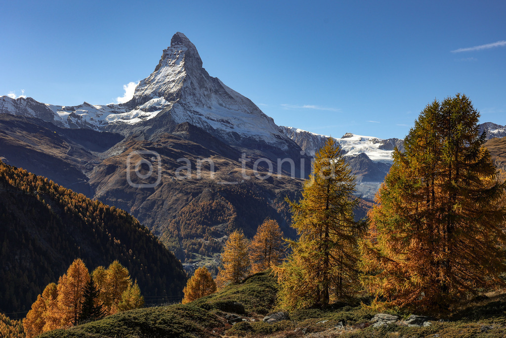 A.Trupina-156 | antonija-trupina - Realisiert mit Pictrs.com
