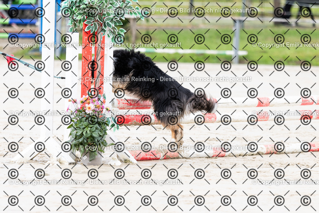 CL5A0595 | Emilia Reinking Fotografie - Realisiert mit Pictrs.com