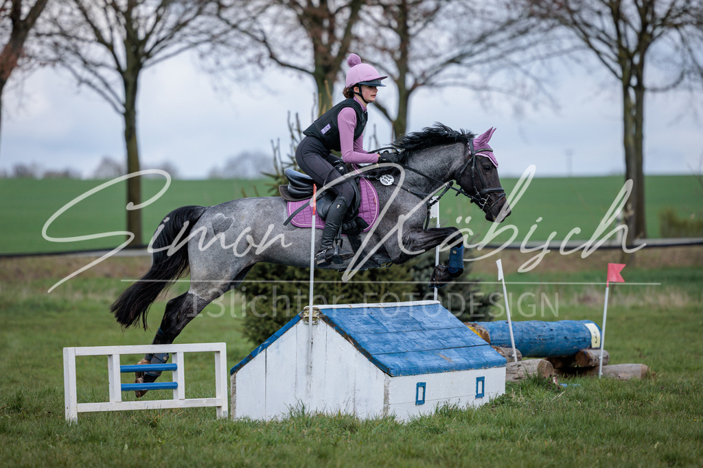 20260329-_3LI4819 | Tierfotografie Pferde, Hunde, Katzen, Haustiere.
Turnierfotografie Reitturniere, Reiten, Springreiten, Dressur in Hanau, dem Main-Kinzig-Kreis und dem Rhein-Main- Gebiet um Frankfurt