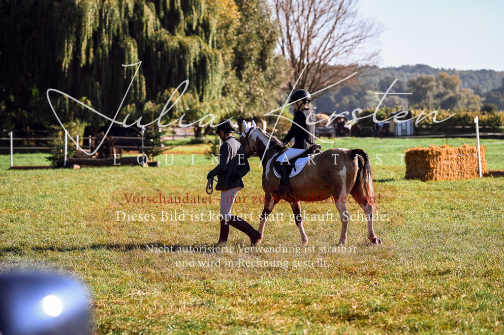 DSC_0303 | Pferde- und Turnierfotografie in Westsachsen. Pferdeportraits, Auftragszeichnungen und intuitive Kunst.