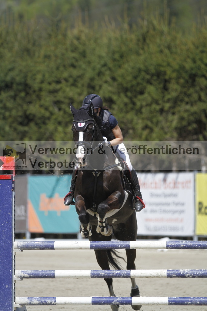 _MG_6625 | equestrian-live-com