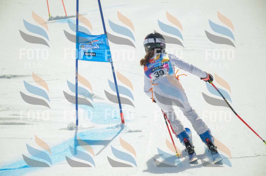 _ELE5013 | holidayphoto