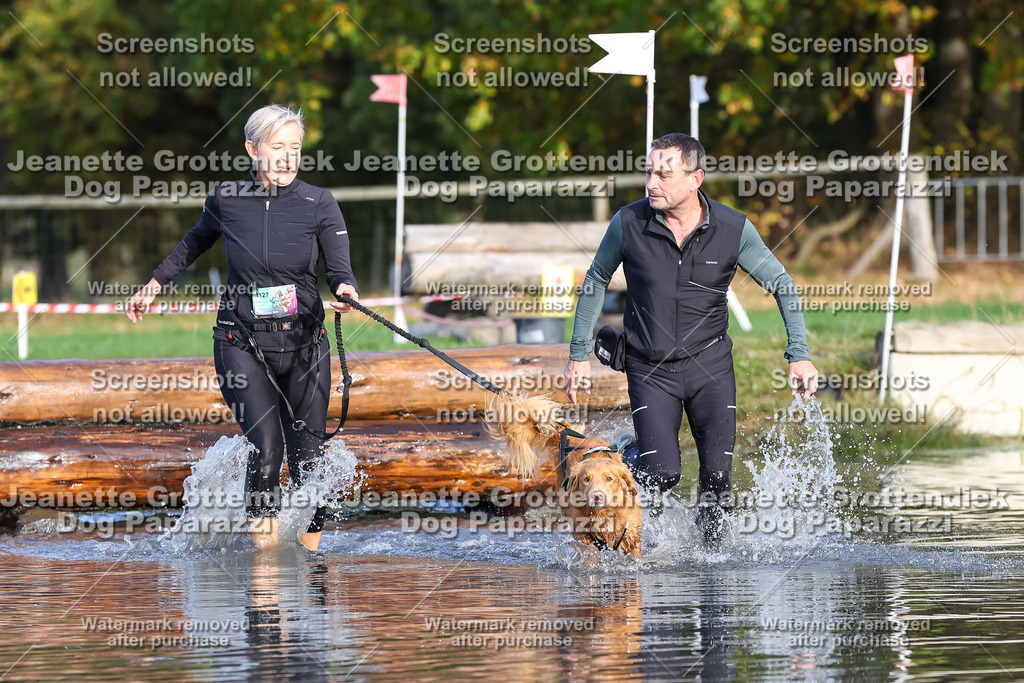 Dog Paparazzi - Strongdog 10-25-8391 | Dog Paparazzi Jeanette Grottendiek Fotografie & Videografie - Realisiert mit Pictrs.com