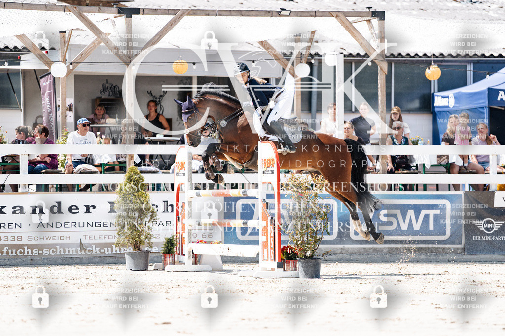CK909569 | Turnierfotografie Pferdefotografie Trier Rheinland-Pfalz Pferdesport Reitsport Tierfotografie Sportfotografie Pferdevideo Pferdevideografie Equestrianvideography equestrianphotography  - Realisiert mit Pictrs.com