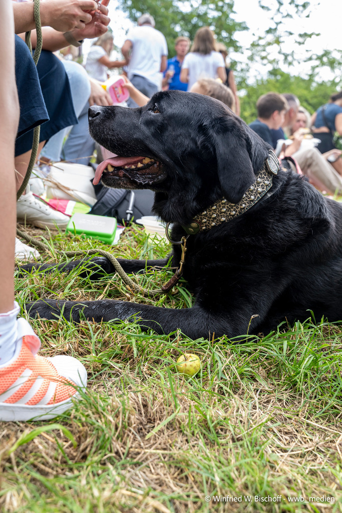 _DSC1341 | <Fotografie> <Video> <Film> <Winfried Bischoff> - Realisiert mit Pictrs.com