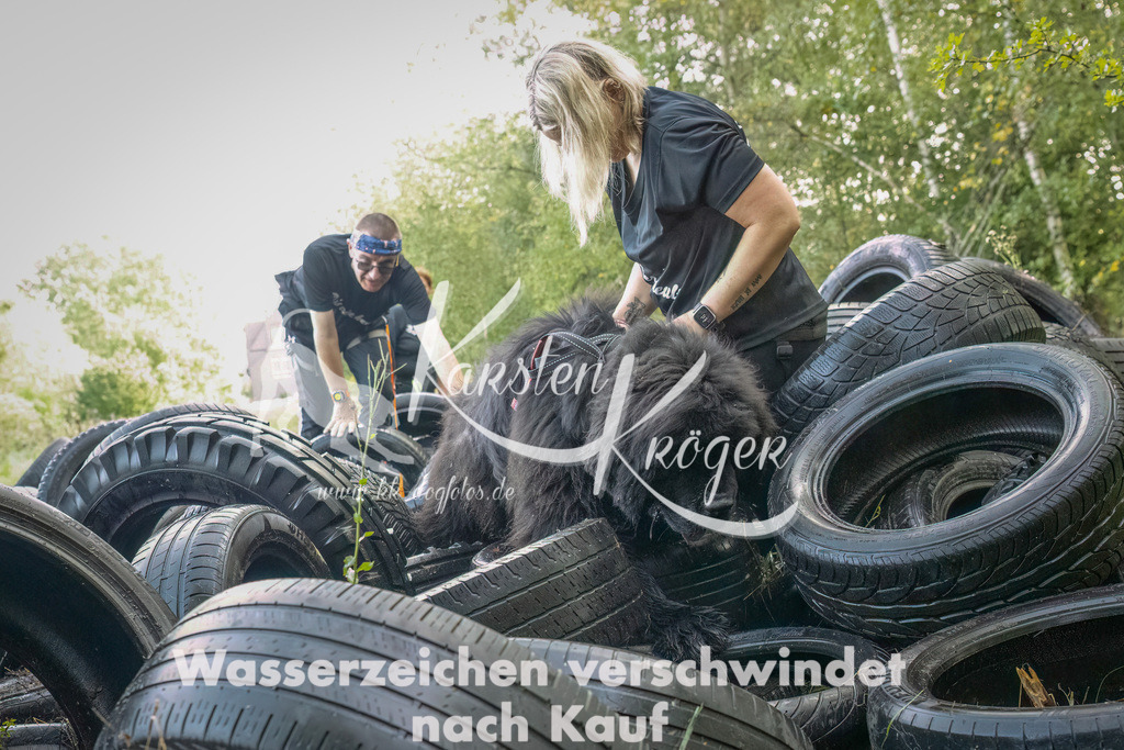 1045_ZZ90424-Bearbeitet-2 | kk-dogfotos