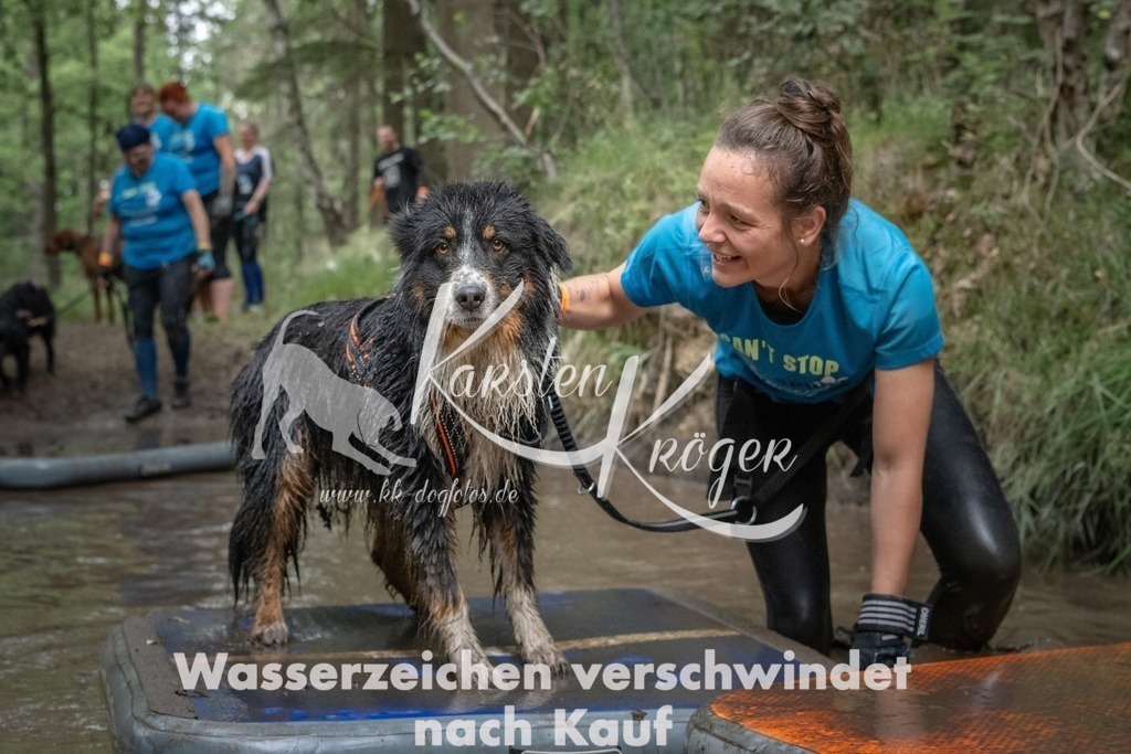 1254_ZZ91502T | kk-dogfotos