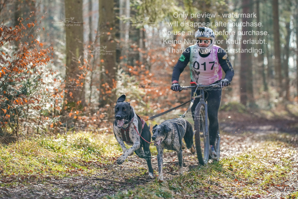 So_Scooter_2-14 | stephaniefillaphotographie - Realisiert mit Pictrs.com