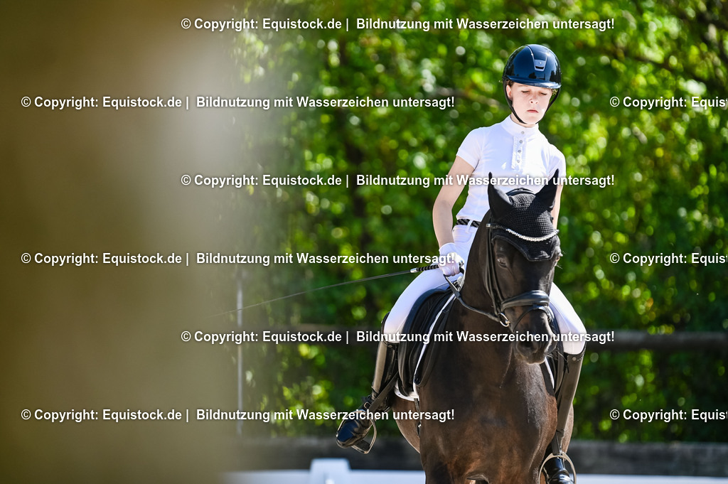 20230908_06_Dressur-L-Trense_0614 | equistock