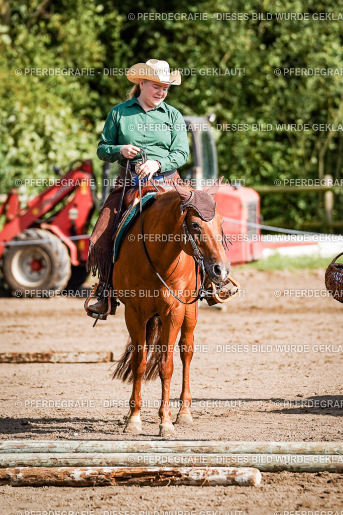 DSC00355 | Pferdegrafie