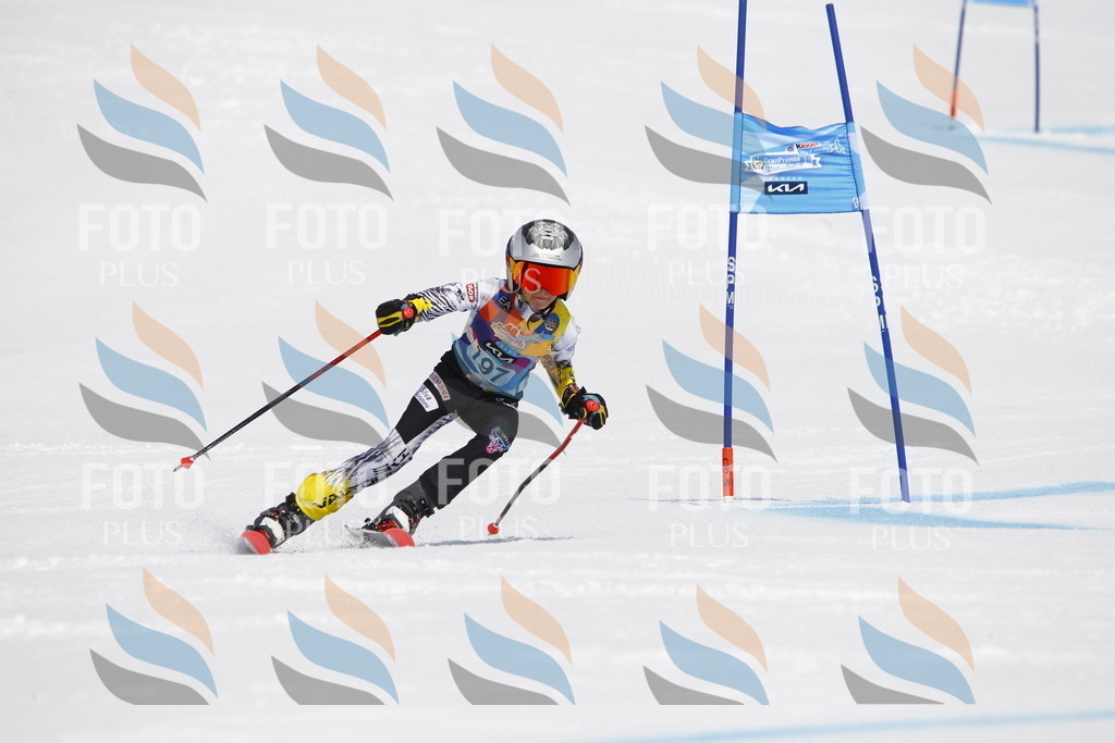 _U3G5133 | holidayphoto