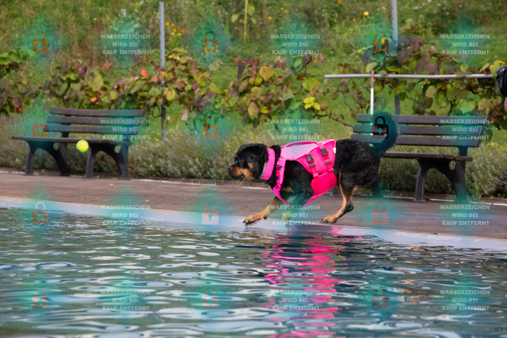 _HP_7588_1000o | HetPix, HetPix Fotodesign, Fotografie, Fotodesign, Webshop, Sportfotografie, Portraitfotografie, Onlineshop, Sportfotografie, Polch, Motorsportfotografie, Eventfotografie