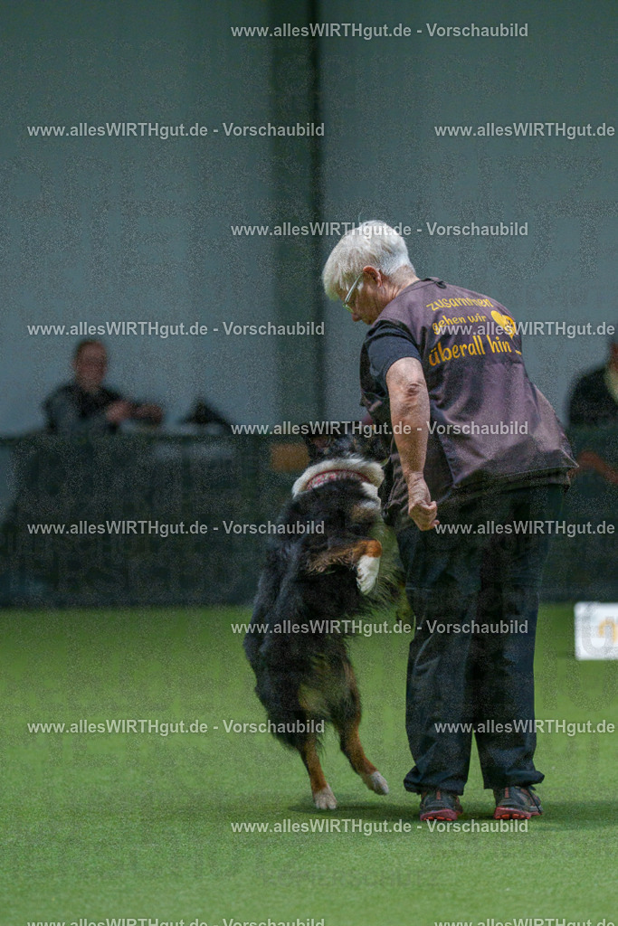 7R507077 | Professionelle Tierfotografie in Mönchengladbach von Daniel Wirth (allesWIRTHgut). Liebevolle & natürliche Bilder von Hunden & Katzen für unvergessliche Erinnerungen.