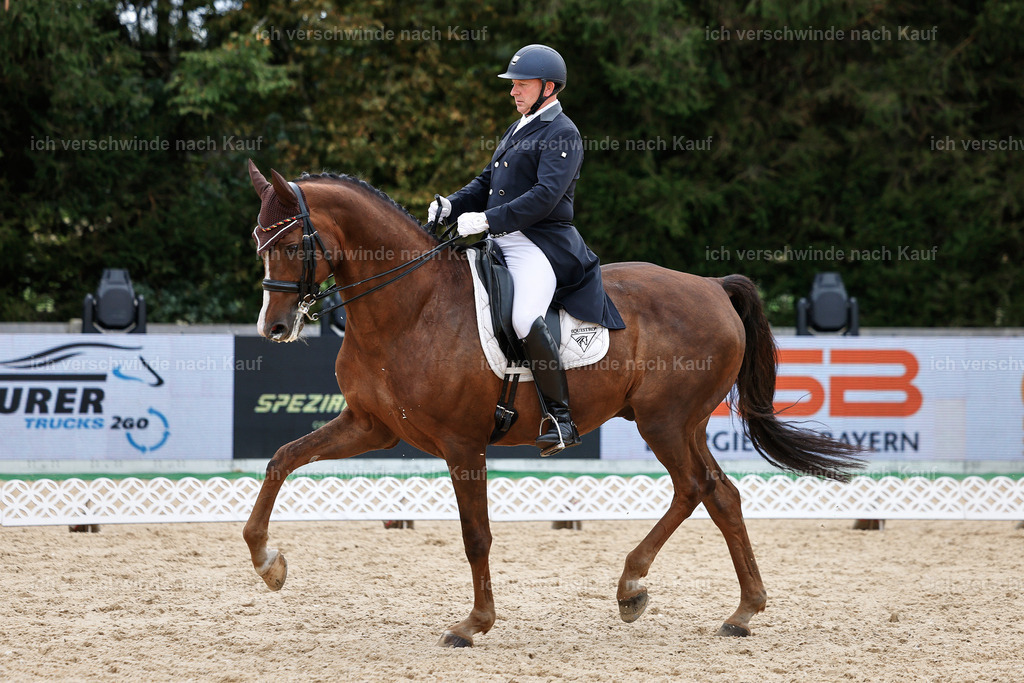 11-092-Dressur S___-StoibPH-1315 | working equitationturnier fotograf videograf stoibphotography marixx film working equitation deutschland reitsport turnierfotografie eventfotografie equestrian events