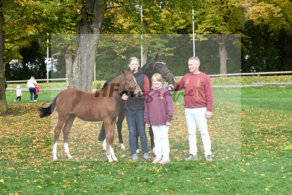 Kat-Nr. 203 Gianduja v. Nerverland WE_Schindele_41251898 | hf-fotografie - Realizzato con Pictrs.com