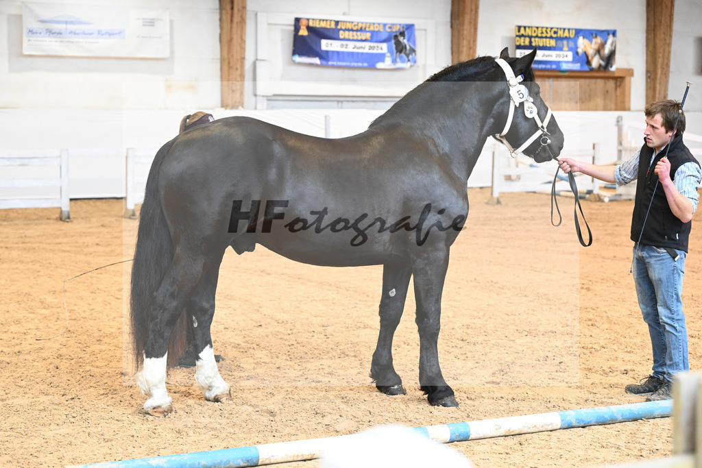 Kat-Nr. 5 v. Sierra Madre_Holl_6240039 | hf-fotografie - Realisiert mit Pictrs.com