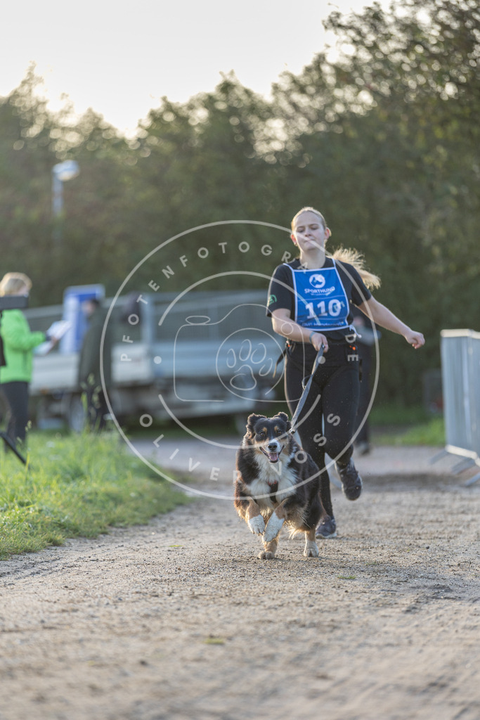 Pfotenfotografie.de_DV3A2539 | Hundefotografie, Tierfotograf, Pfotenfotografie, Fotoshooting Hund, Hunde Portrait, Hundesport, Hundeportraits, Heideshooting, Hunde, Sportfotograf, Hundefotograf, Turnierhundsport, THS, canicross - Realisiert mit Pictrs.com