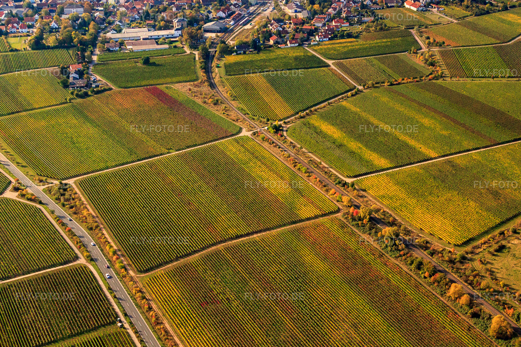 Luftbild: Bahnlinie zwischen Reben im Herbstlaub im Ortsteil Mußbach in Neustadt im Bundesland Rheinland-Pfalz in Deutschland. Foto: IMG_22032.jpg vom 15.10.2009 durch Werner Riehm/FLY-FOTO.de