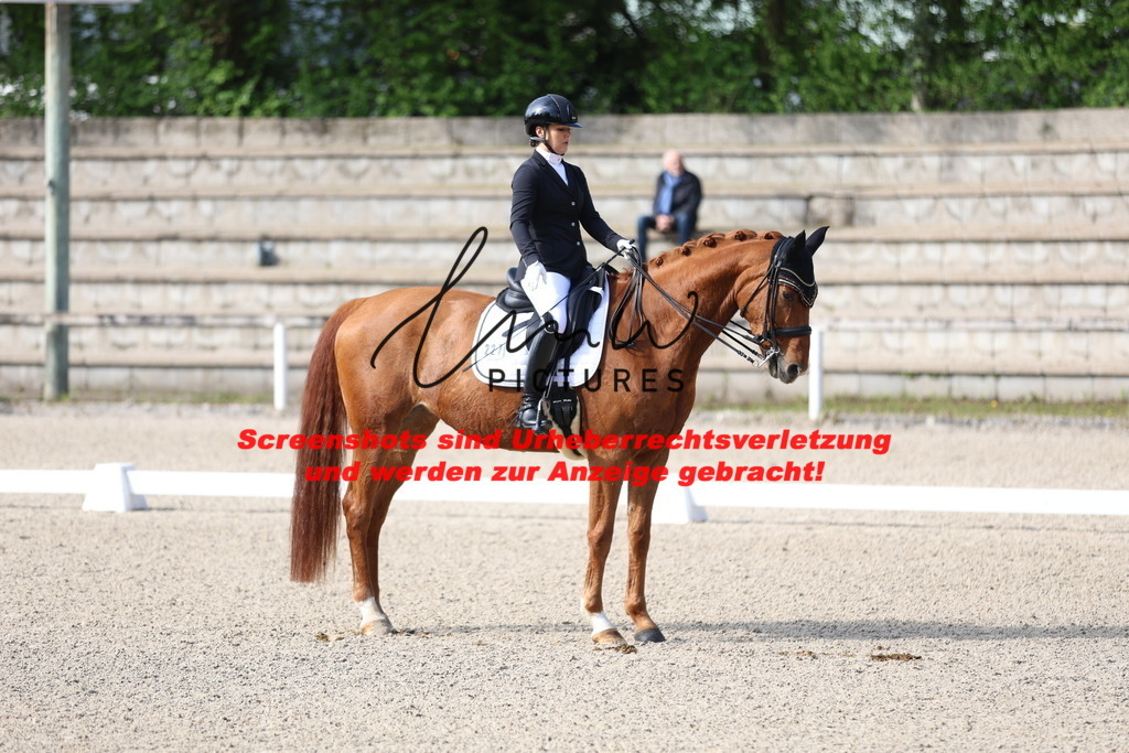 A40A3585 | lmwpictures - Realisiert mit Pictrs.com