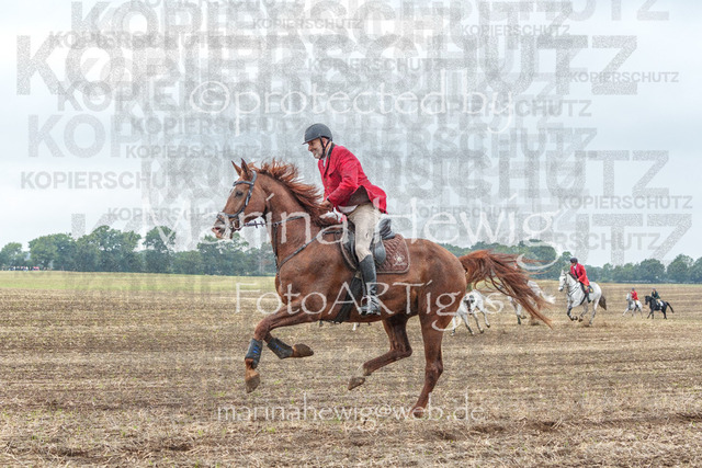Jagd Perdoel_MarinaHewigMCH04159 | Fotografie, FotoArt, PferdesportArt, Pferdesportfotografie, Landschaftsfotografie, Reisefotografie, Reise, Pferde - Realisiert mit Pictrs.com