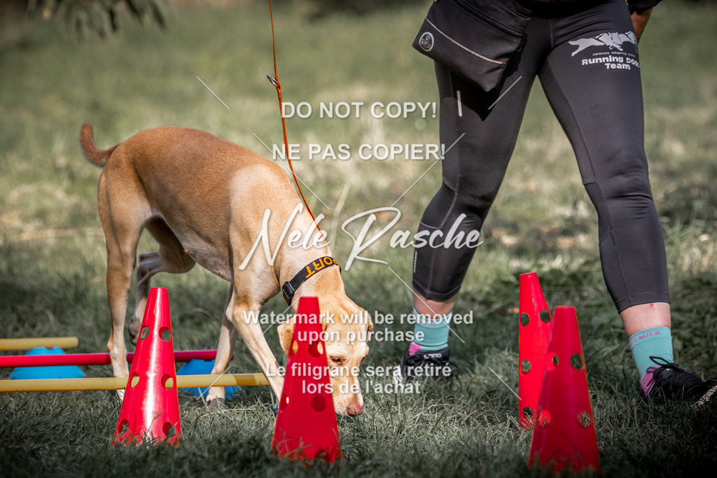 nelerasche_slaw24Sa_111 | nelerasche