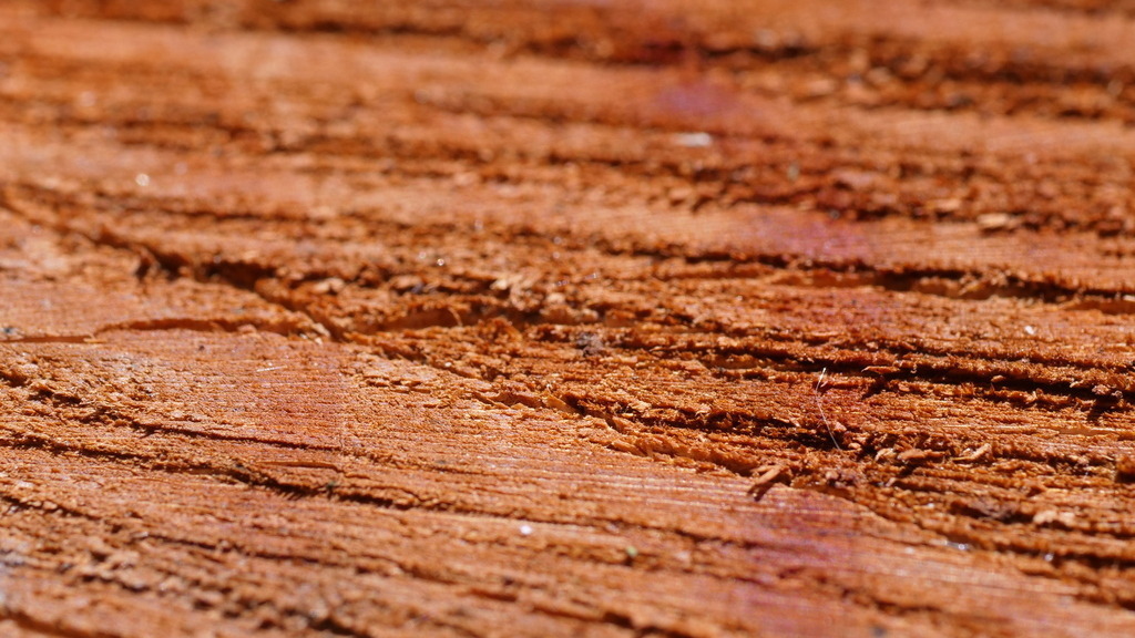 P1077019 | klausulrichmoeller