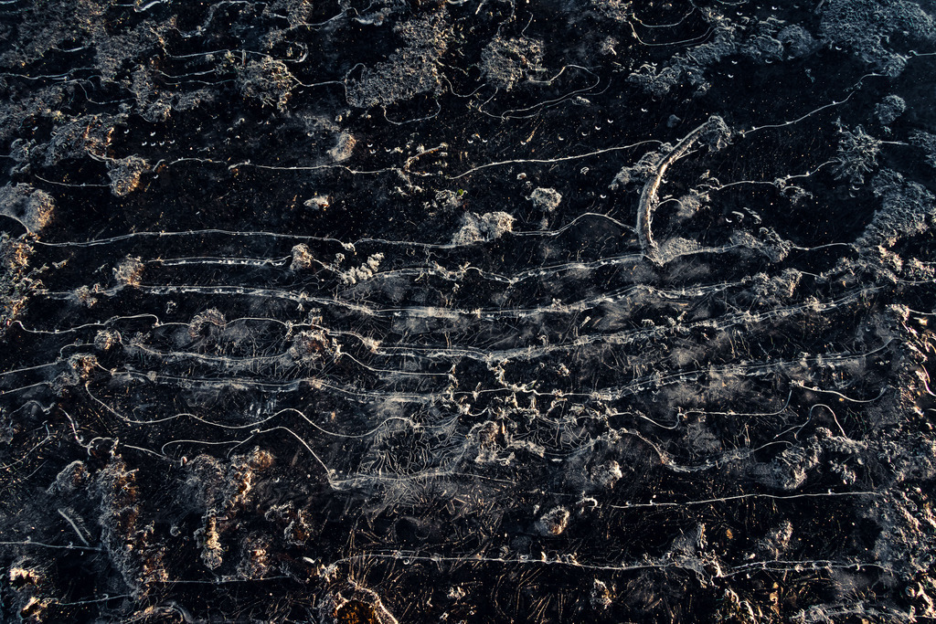 IMG_3806 | ap-design // andreas plenk - Realisiert mit Pictrs.com