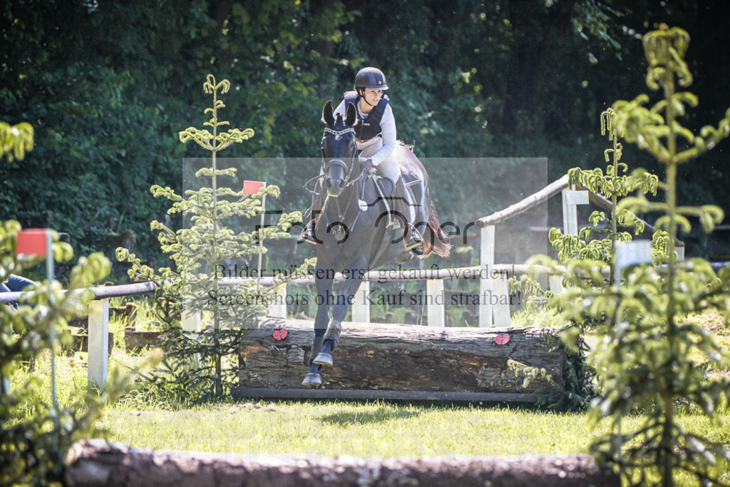 DOS_6147 | Entdecke hochwertige Reitturnierfotos von Foto Oger. Professionell, emotional und authentisch – jetzt Lieblingsmomente im Shop bestellen.Deutschlandweite Turnierfotografie. - Realisiert mit Pictrs.com
