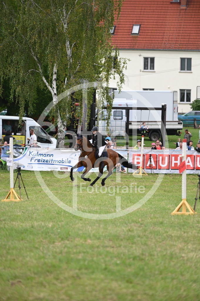 DSC_1480 | sattelsport - Realisiert mit Pictrs.com