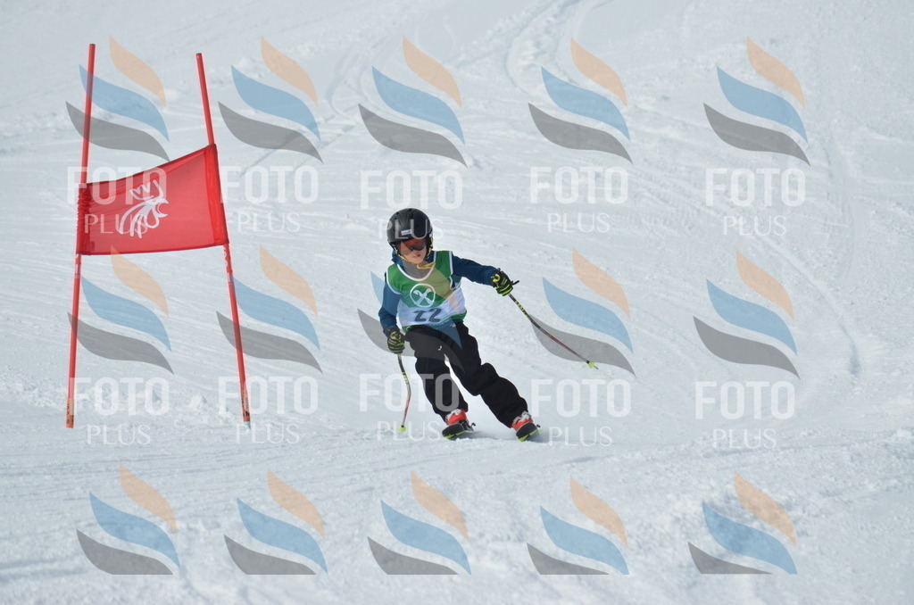 D8587 | holidayphoto